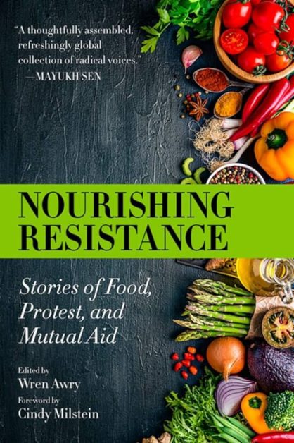 Nourishing Resistance: Stories of Food Protect and Mutual Aid cover image featuring vegetables and spices.